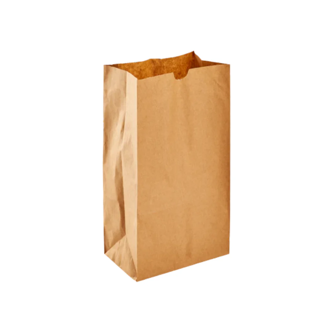 #6 Brown Paper Bags IMPORT 1/500