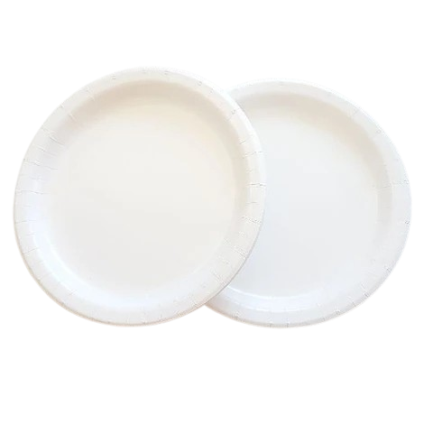 10in Round Paper Plate 400