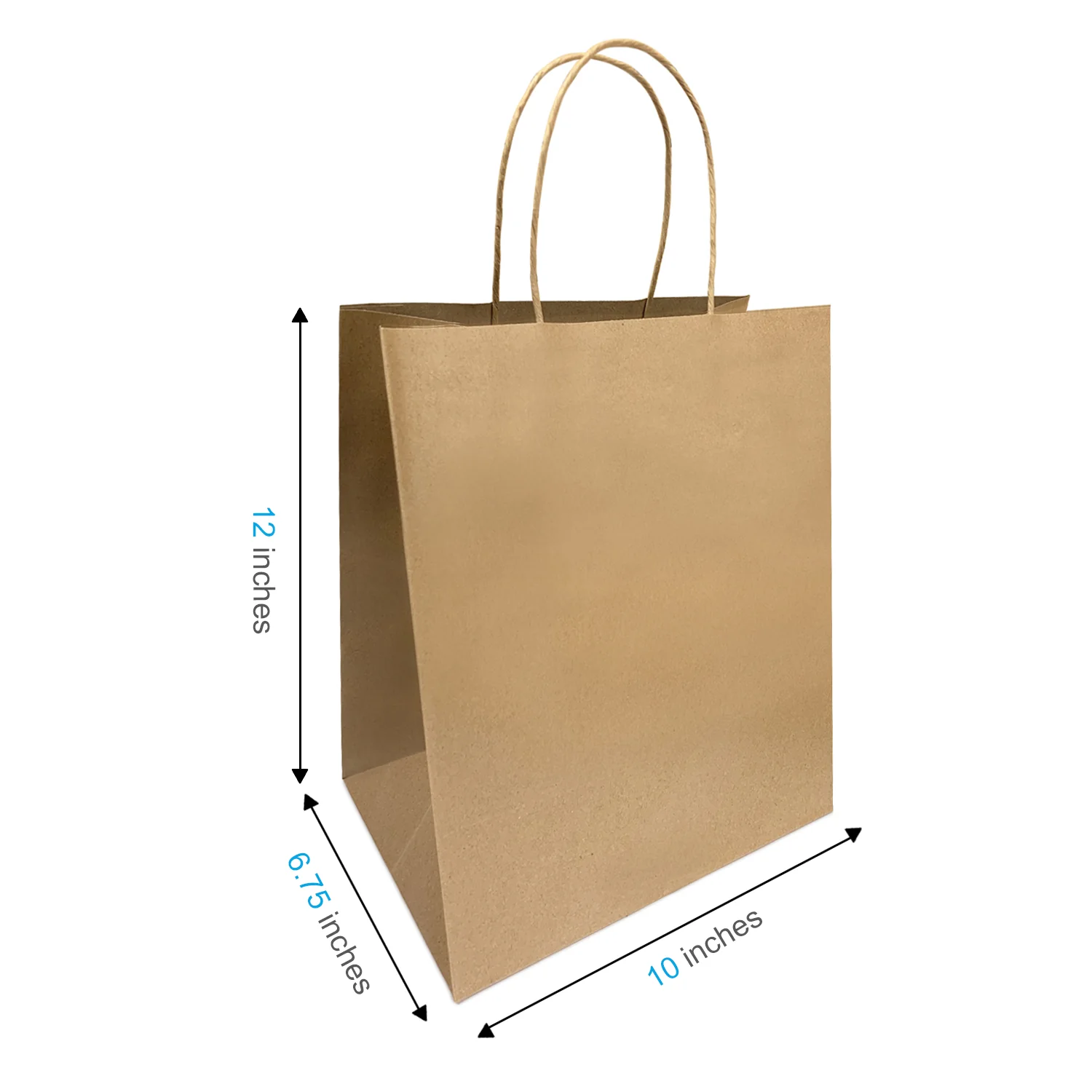 Paper Handle Bags 250ct 10X5X13 MEDIUM