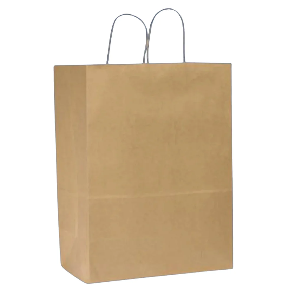 Paper Handle Bags 250ct 13x7x17 LARGE