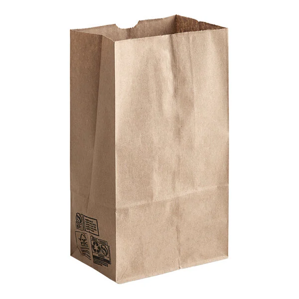 1/6 BROWN Paper bag DURO 500