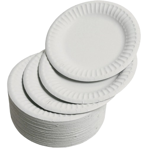 BP 9 in Round PAPER Plate 4ooct